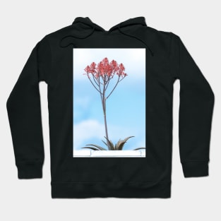 Tall Flowering Aloe Hoodie